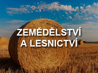 PLAJ MOCHOV družstvo nabízí práci na pozici Pomocní pracovníci v rostlinné výrobě v obci Mochov