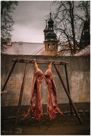 Plakát události Zabijačkové hody