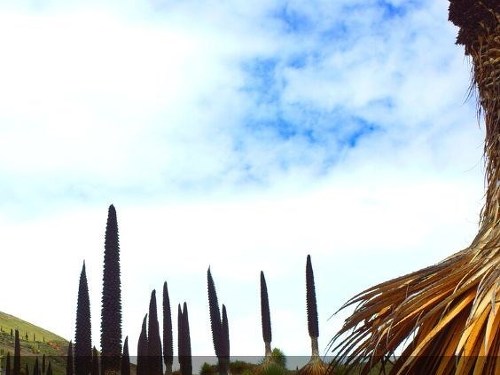 Plakát události Z Amazonie k Aljašce a přes Guatemalu do Mexika / Milan B.