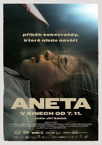 Plakát události Aneta