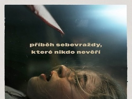 Plakát události Aneta
