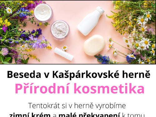 Plakát události Beseda - Přírodní kosmetika