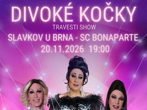Plakát události Travesti Divoké kočky Slavkov u Brna
