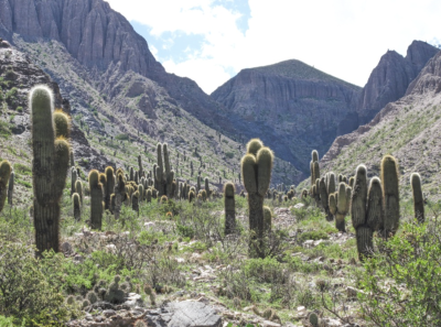 Plakát události Přednáška o Argentině