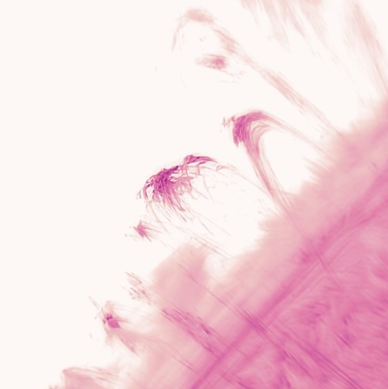 Plakát události Star Club West [BE] + Plum Dumplings + Sci Poematica