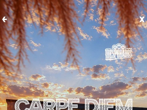 Plakát události Carpe Diem: Rooftop Experience | Brno