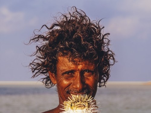 Plakát události Sokotra: (ne)dotčený ráj