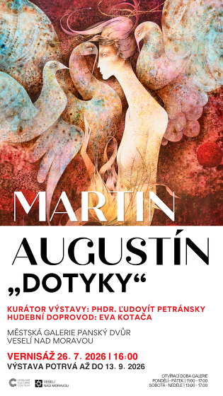 Plakát události Výstava Martina Augustína 