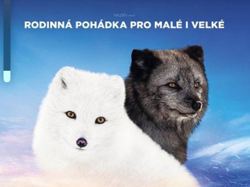 Plakát události Max&Mája: Příběh lištiček