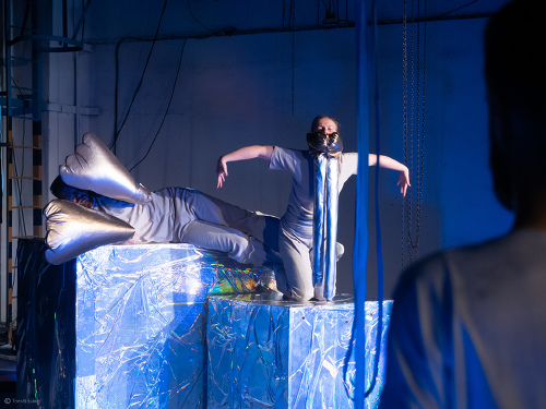 Plakát události Kniha džunglí - Bílý lachtan (divadlo DIP - zážitek pro děti od 6 let)