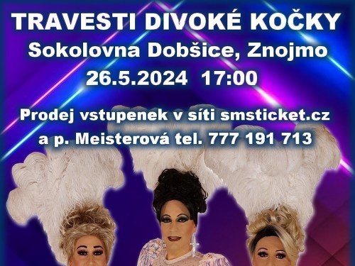 Plakát události travesti Divoké kočky