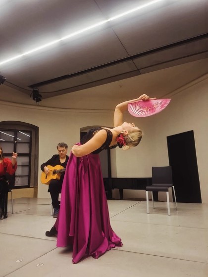 Plakát události Den flamenca 2025: Velada