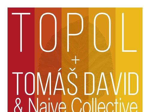 Plakát události TOPOL a Tomáš David & Naive Collective v BABYLONU