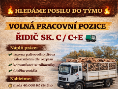 PPS Holding s.r.o. nabízí práci na pozici řidič sk. C, C+E, rozvoz palivového dřeva v obci Slavkov u Brna