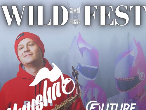 Plakát události WILD FEST - zimní scéna