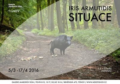 Plakát události Vernisáž výstavy Ireny Armutidisové v Tišnově