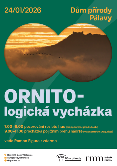 Plakát události Ornitologická vycházka na Novomlýnské nádrže