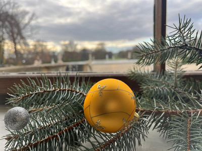 Plakát události Výstava Vánočních stromků