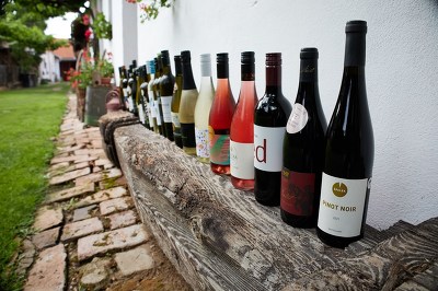 Plakát události Festivalová stodola: Degustace festivalové kolekce vín