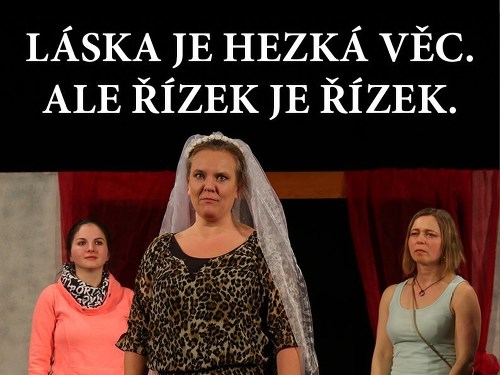 Plakát události Vzpoura nevěst