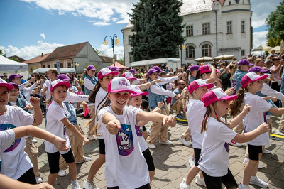 Plakát události Dny Slavkova 2025