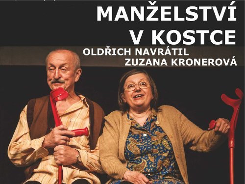 Plakát události Manželství v kostce