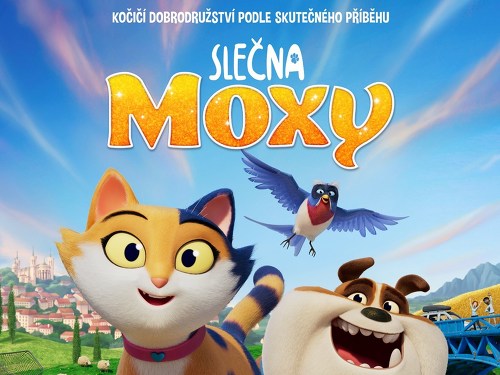 Plakát události Slečna Moxy