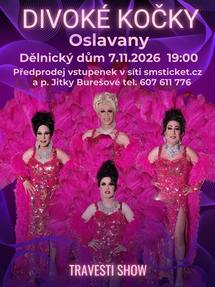 Plakát události Travesti show Divoké kočky v Oslavanech