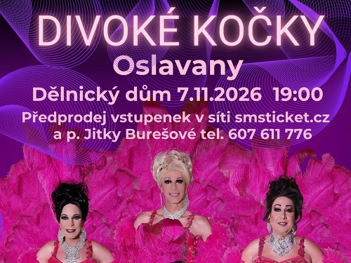 Plakát události Travesti show Divoké kočky v Oslavanech