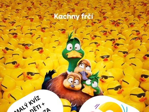 Plakát události Ptáci stěhováci