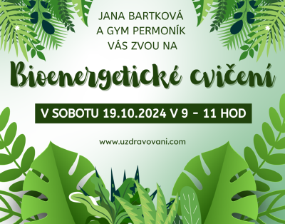 Plakát události Workshop Bioenergetické cvičení