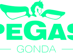 PEGAS-GONDA s.r.o. nabízí práci na pozici Zástupce mzdové účetní a skladový controlling v obci Slavkov u Brna