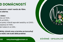 Nany Cleaning- úklid domácností