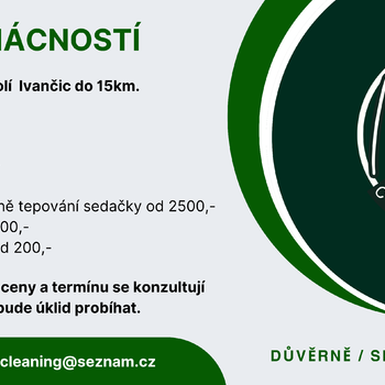 Nany Cleaning- úklid domácností