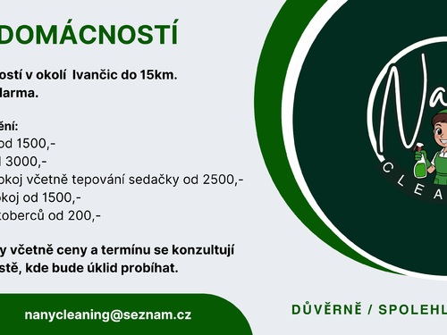 Nany Cleaning- úklid domácností
