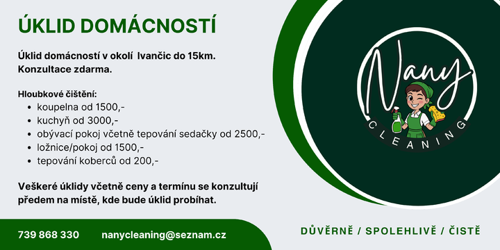 Nany Cleaning- úklid domácností