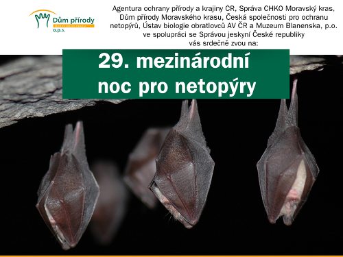 Plakát události 29. mezinárodní noc pro netopýry