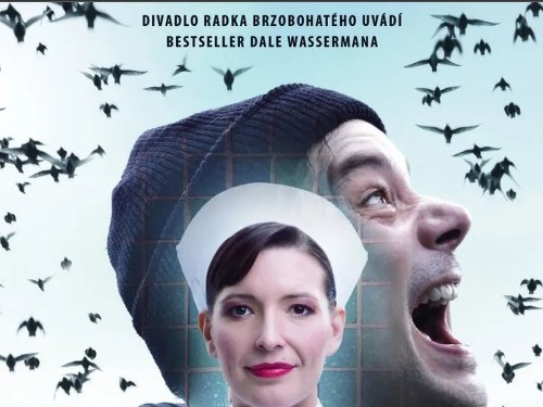 Plakát události Přelet nad kukaččím hnízdem (Divadlo Radka Brzobohatého)