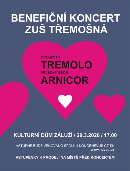 Plakát události Benefiční koncert v Záluží