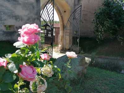 Plakát události Program na hradě v Dolních Kounicích v rámci historických slavnosti Rosa Coeli