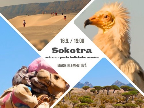 Plakát události Sokotra: ostrovní perla Indického oceánu