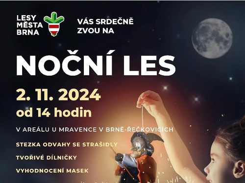 Plakát události NOČNÍ LES 2024