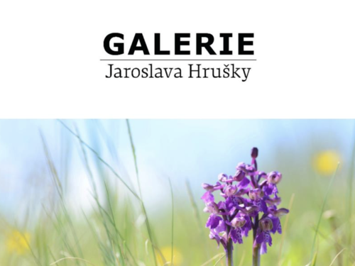 Plakát události Čtvrteční umělecké setkání - Michal Procházka - povídání o zajímavostech přírody Kladenska