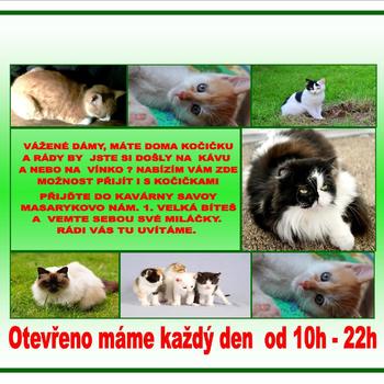 Centrum  zábavy Velká Bíteš