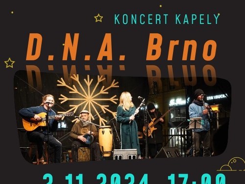 Plakát události Koncert kapely D.N.A.