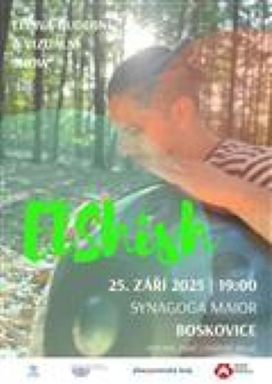 Plakát události Koncert: Ladislav Šiška (ElShish), Boskovice