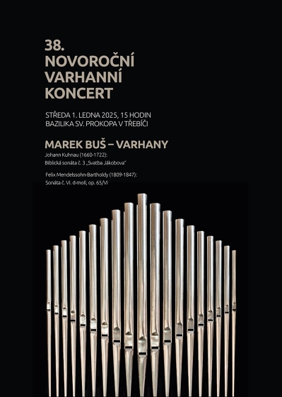 Plakát události 38. Novoroční varhanní koncert
