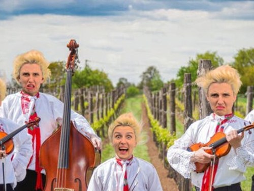 Plakát události Nikola Mucha: Pochcala musika