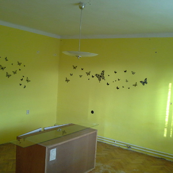 Dům s potenciálem 4+1 a pozemkem 1140 m2 oblast JESENÍKY