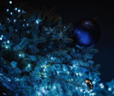 Plakát události Výstava vánočních stromků